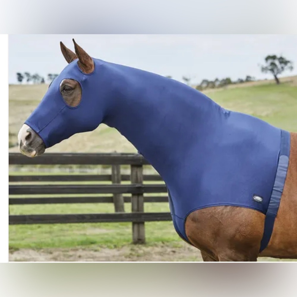 Weatherbeeta lycra hood Cob